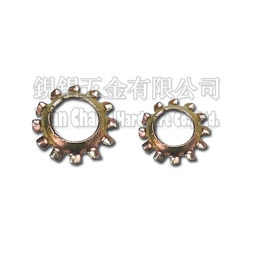 External Tooth Lock Washer ABW
