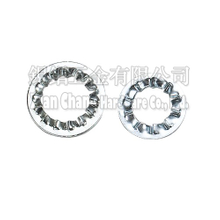 Over Lapping Toothed Lock Washers