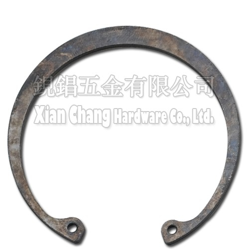 RTW Barium Phosphate Ring, RTW Barium Phosphate Ring, RTW Phosphonium Washer, Retaining Rings (Internal)